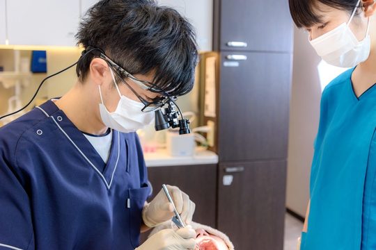 マグネットの入れ歯の模型 【保険治療】